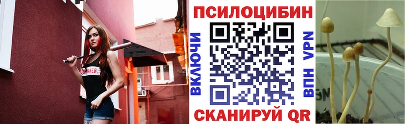 Псилоцибиновые грибы GOLDEN TEACHER  Сычёвка 